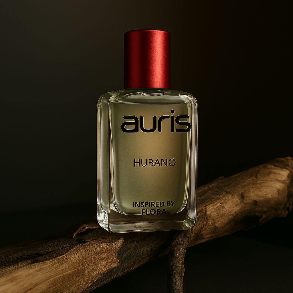 AURIS – Hubano (For Women)
